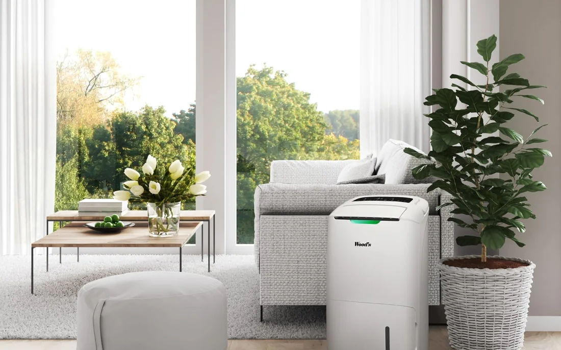 Déshumidificateur Wood's AD20 avec purification de l'air dans un salon