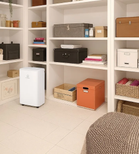 Déshumidificateur pour la cave