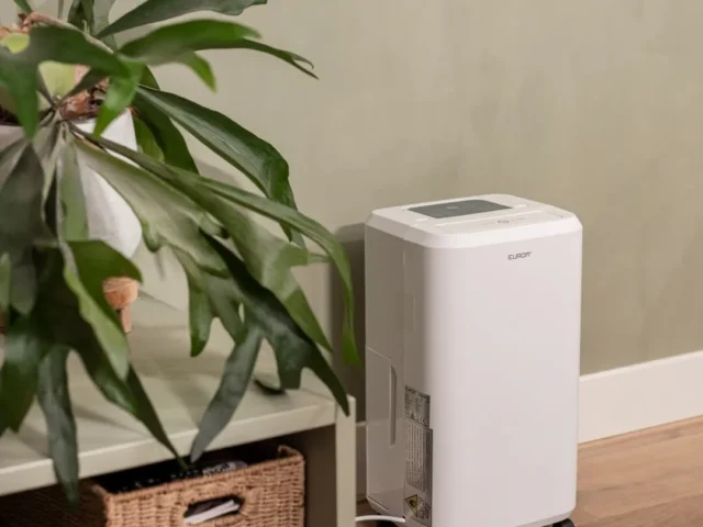 Déshumidificateur dans le salon