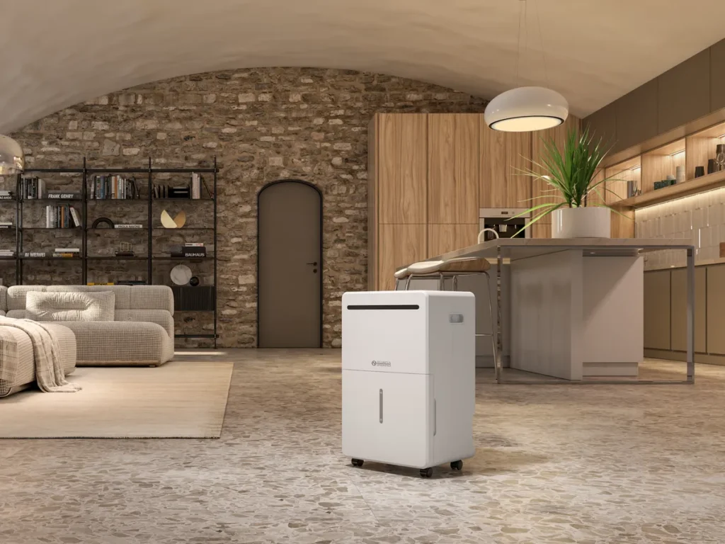 Déshumidificateur Olimpia Splendid Aquaria S2 40 dans un salon